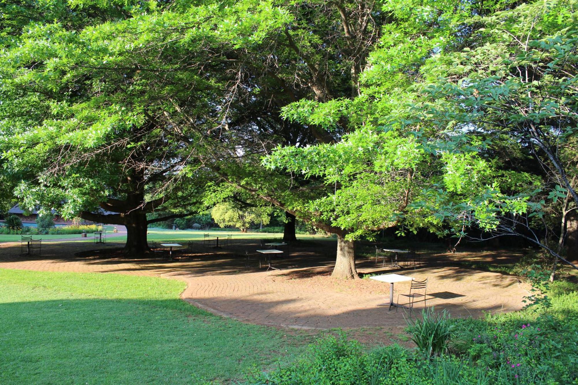 Whispering Pines Country Estate Villa Magaliesburg Buitenkant foto
